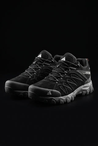 Hiking shoes